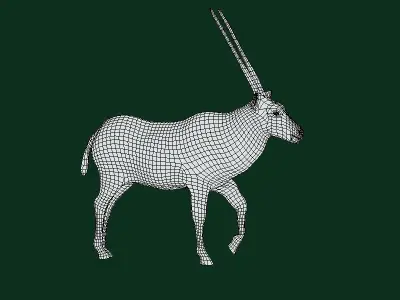 Gemsbok Oryx Antelope Low-poly 3D model