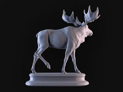 Moose 3D print model