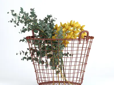 Plants in basket 3D model