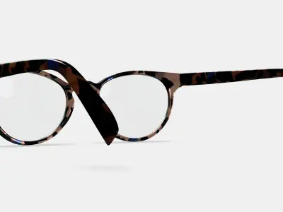 Leila Eyeglasses in Smoky Pearl Tortoise 3D model