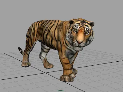 TIGER Low-poly 3D model