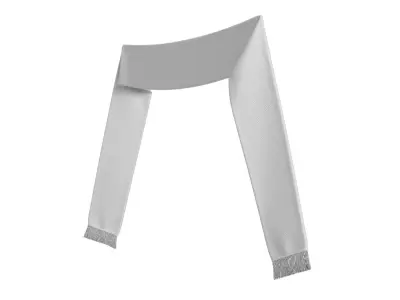 Football Fan Scarf 05 3D model