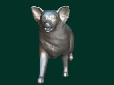 Papillon Dog 3D model