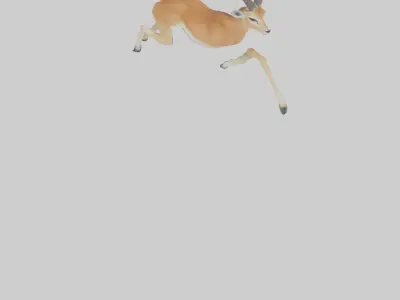 Gazelle running model 3D model