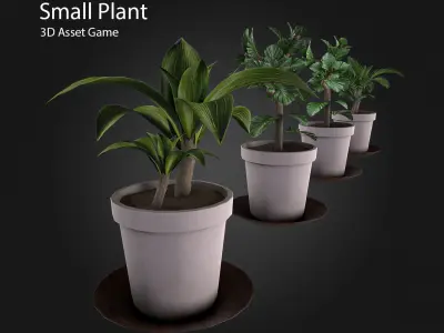 Small Plant Low-poly 3D model