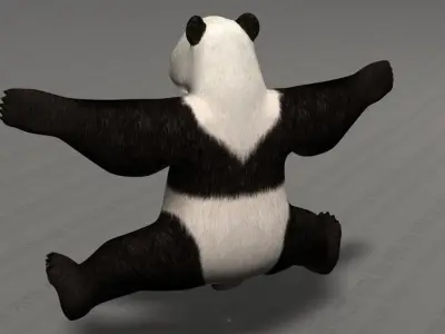 Giant Panda Bear - Ailuropoda Melanoleuca - Bamboo Bear 3D model