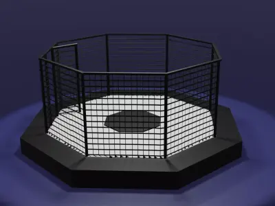 MMA Octagon Cage Free low-poly 3D model