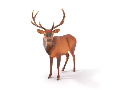Majestic Stag model pack Low-poly 3D model