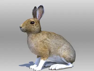 Rabbit or Hair Low-poly 3D model