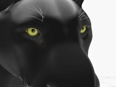 Feline Panther - 3d model 3D model