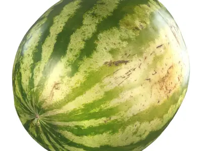 4k Watermelon 3D model