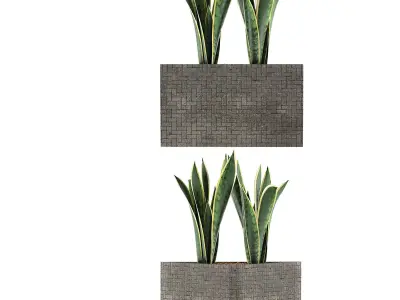 Plants Collection 103 3D model