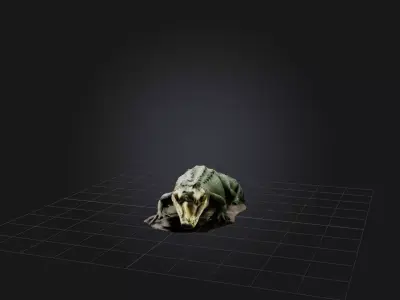 Realistic Crocodile Model Low-poly 3D model