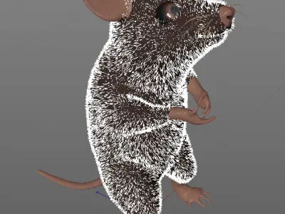 3D Mouse in pose 3D model