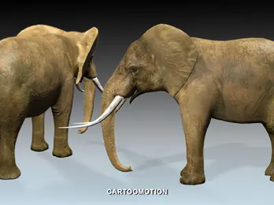 Elephant two elephants Low-poly 3D model