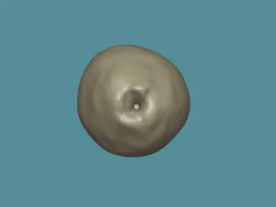 Granny smith Apple Low-poly 3D model