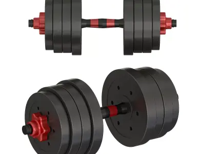 DUMBBELLS 3D model