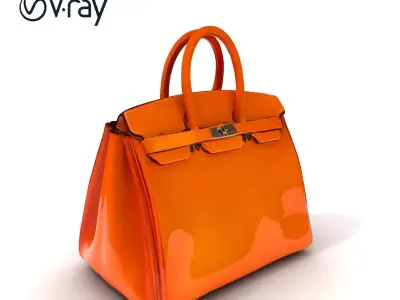 Luxurious Leather Handbag D Model Pack Low-poly 3D model