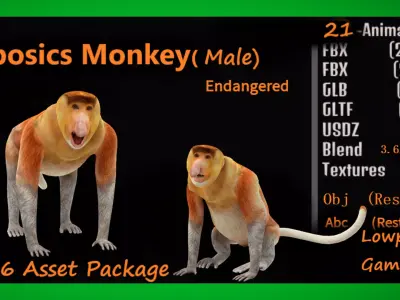 Proboscis Long Nosed Monkey Male Low-poly 3D model