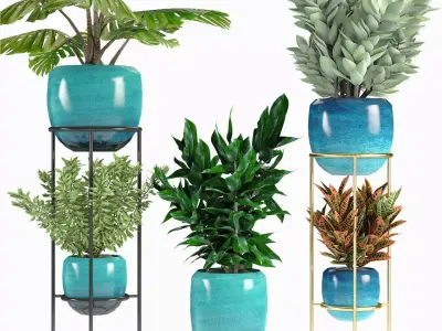 Collections Plants 07 3D model