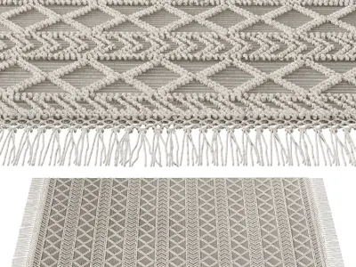 MiiiM Woven Rug 02 3D model