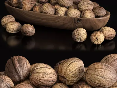 Walnut set walnuts in bowl 3D model