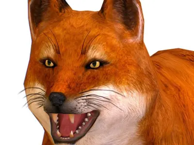 LowPoly Model Beautiful Red Fox Low-poly 3D model