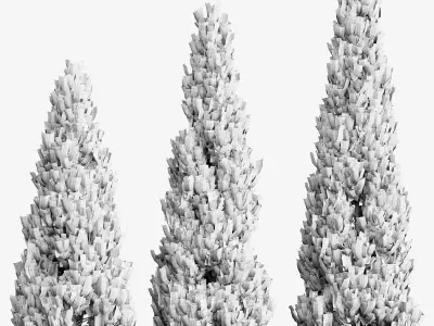 Thuja set - 3 models 3D model