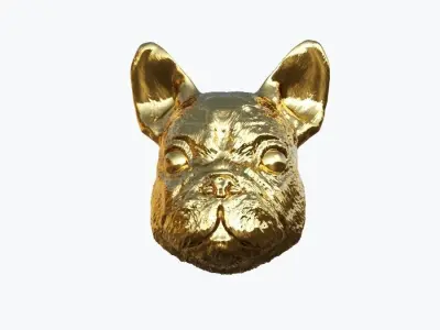 Sculpted dog face  3D model