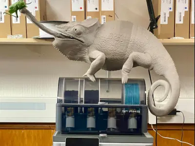 Panther Chameleon - Furcifer pardalis NosyBe with Tongue Shot 3D print model