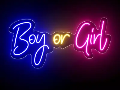 Boy Or Girl Neon Sign 3D model