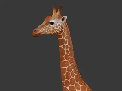 giraffe Low-poly 3D model
