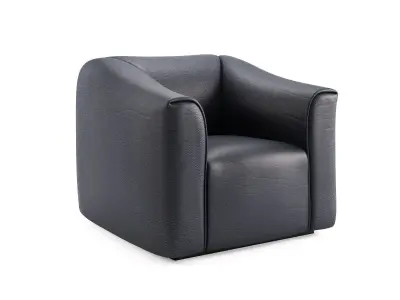 DS 47 Armchair 3D model