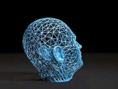 Head voronoi 3D print model