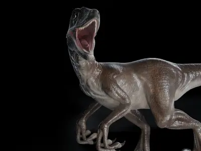 Velociraptor dinosaur Low-poly 3D model