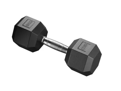 5 Kg Dumbbell 3D model