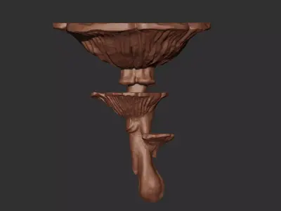 Mushroom Shelf Printable 2 3D print model