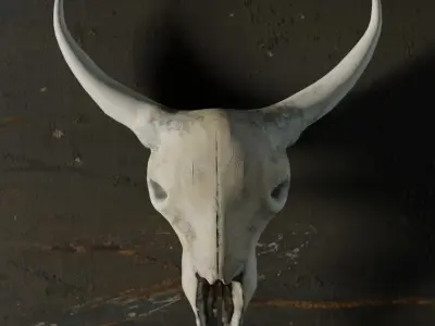 Cow Skull 3D model