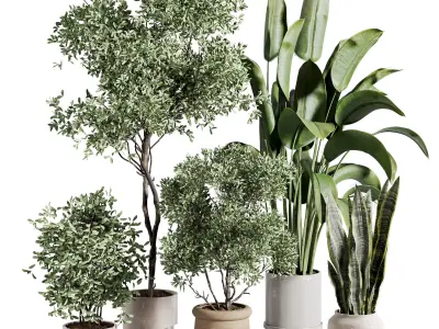  indoor plant 518 3D model