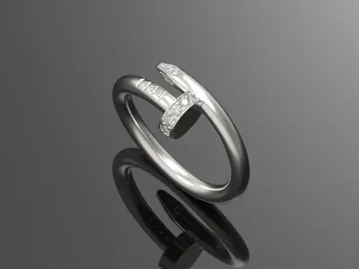 Ring Nail  158 3D print model
