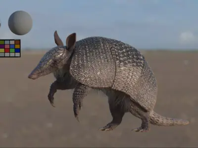 nine bands armadilo Low-poly 3D model