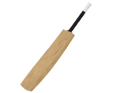 Cricket Bat 3D model buy