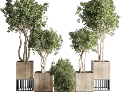 wooden Box Plants on Stand  of houseplants indoor 193 3D model