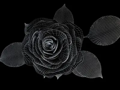 Red Rose 3D model purchase