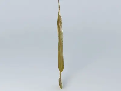 Angel Moroni Free 3D model