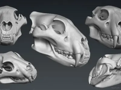 3D Lion Skull - Sculpture 3D model