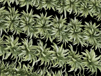 Garlands 07 Dracaena 3D model