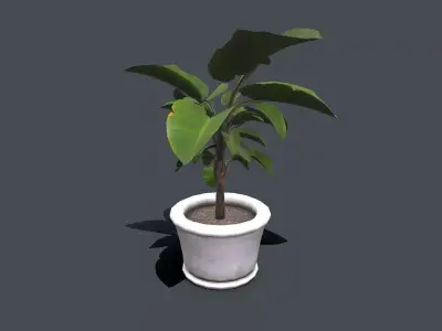 Indoor Plant Low-poly PBR Low-poly 3D model
