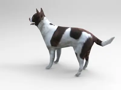 3D Dog animated low poly 3d  Low-poly 3D model