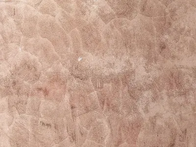 stucco 539 Texture